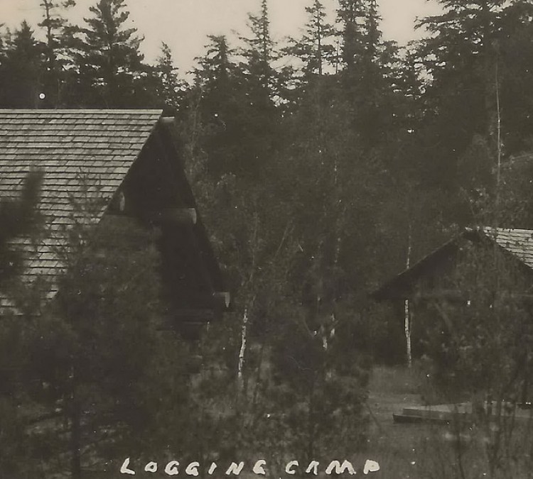hartwick-pines-logging-museum-photo
